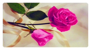 DSC700 508 Ribbon and Rose